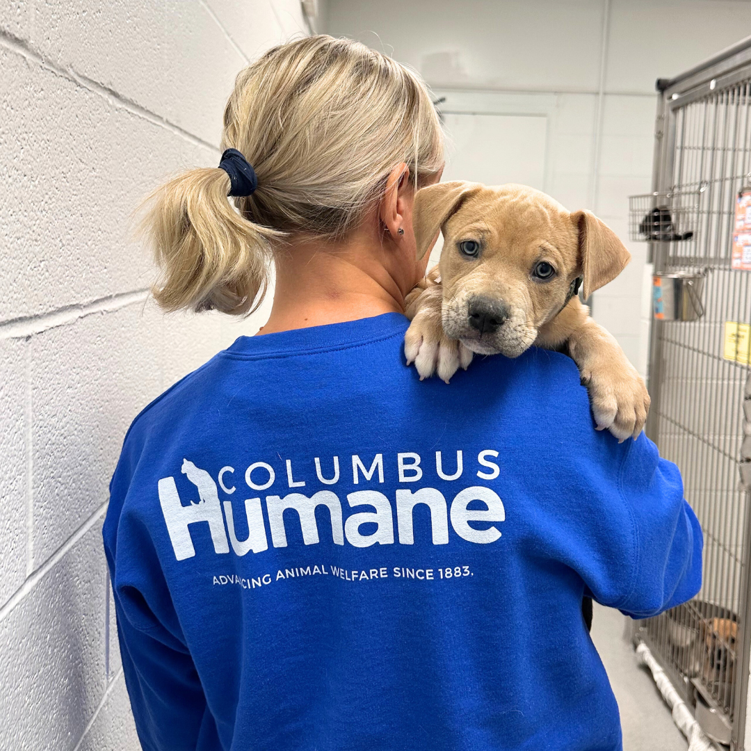 Party With The Pets — Columbus Humane