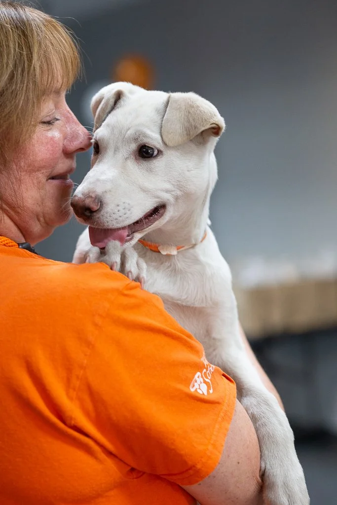 Party With The Pets — Columbus Humane