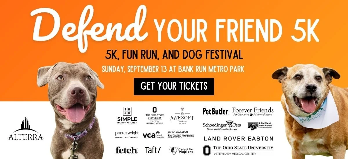 Defend Your Friend Web Banner (1).jpg