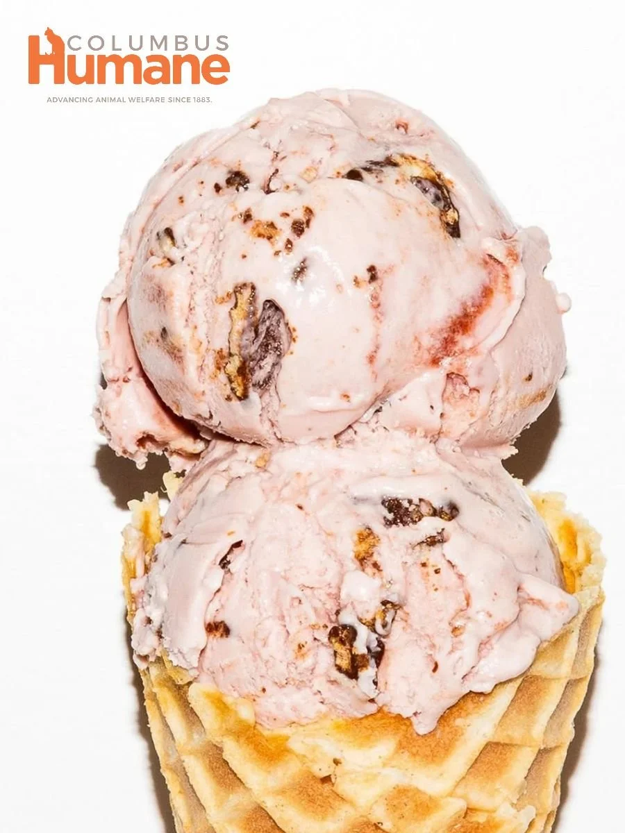 Jeni's Ice Cream Dine for a Cause
