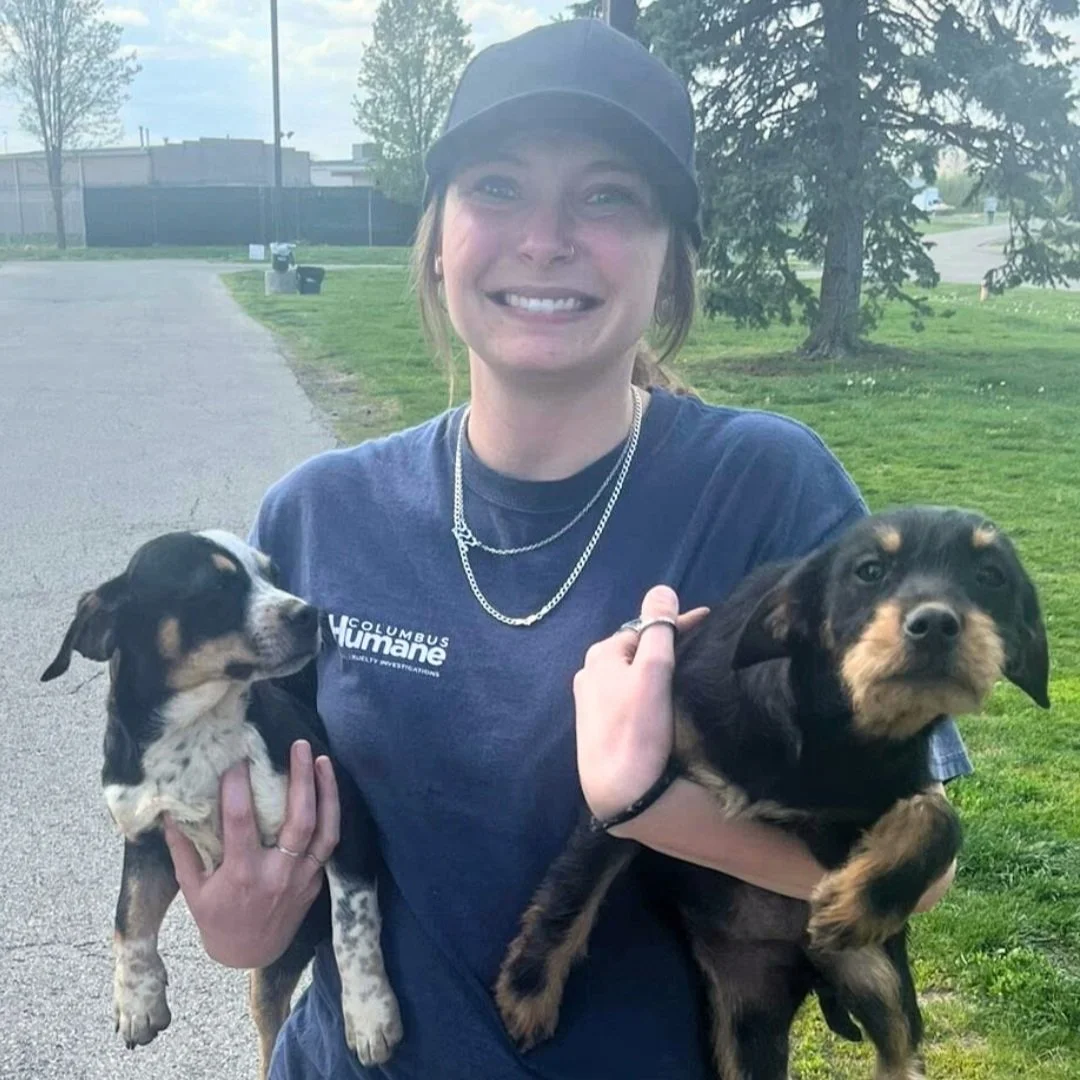 Keeping Pets Safe This Fourth of July: Tips from Columbus Humane’s ...