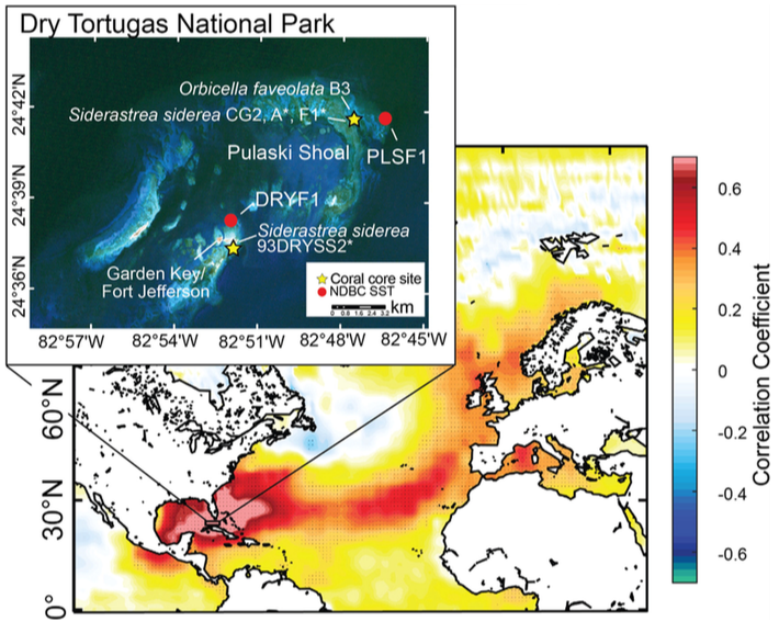 Multi-species coral Sr/Ca-based sea-surface temperature reconstruction using Orbicella faveolata and Siderastrea siderea from the Florida Straits - Flannery et al. (2017)