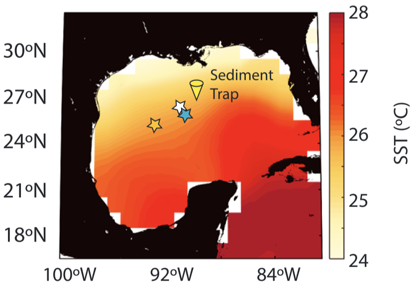 Considerations for Globigerinoides ruber (white and pink) paleoceanography: compre- hensive insights from a long-running sediment trap - Richey et al. (2019)