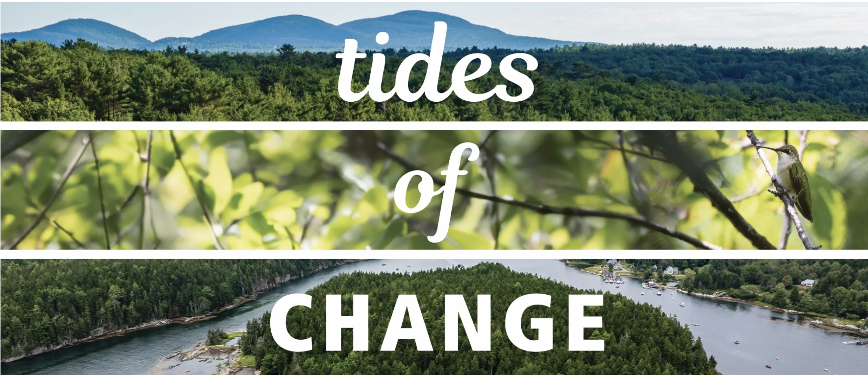 Tides Of Change