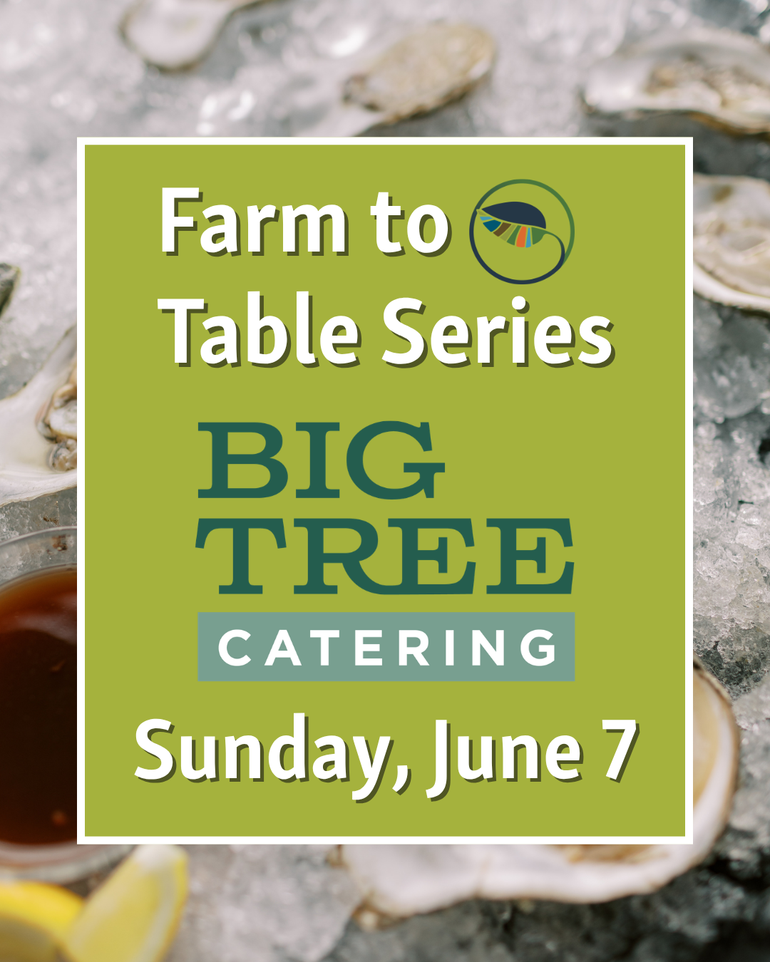 Wolfeneck Farm to Table Dinner x BIG TREE CATERING