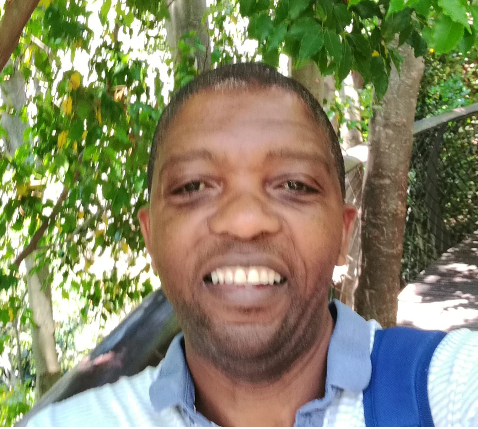 Frank%252BMatose.jpg