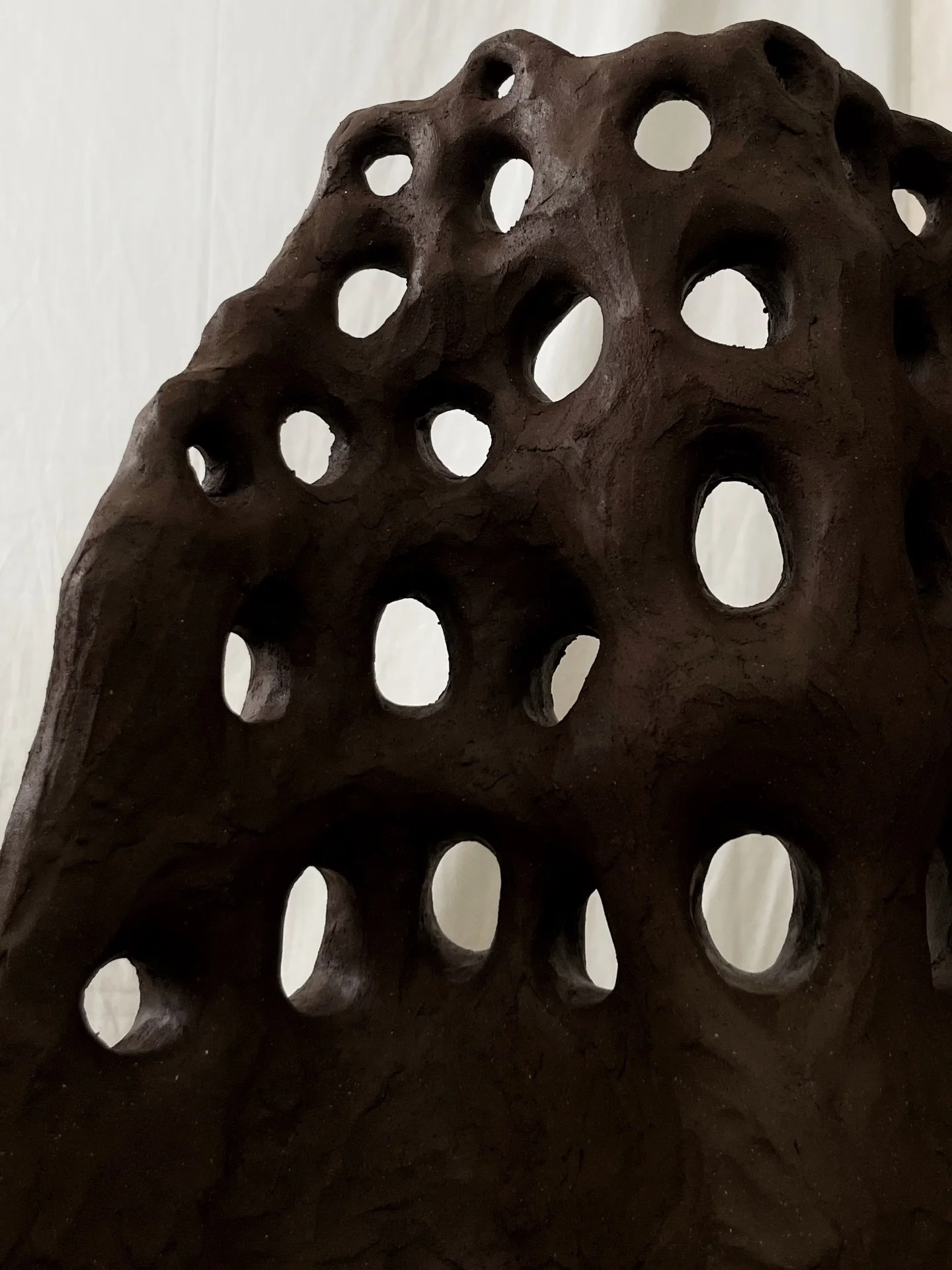 I strongly believe that you can never have too many holes in your life. Holes are great! (Apologies to everyone with trypophobia)