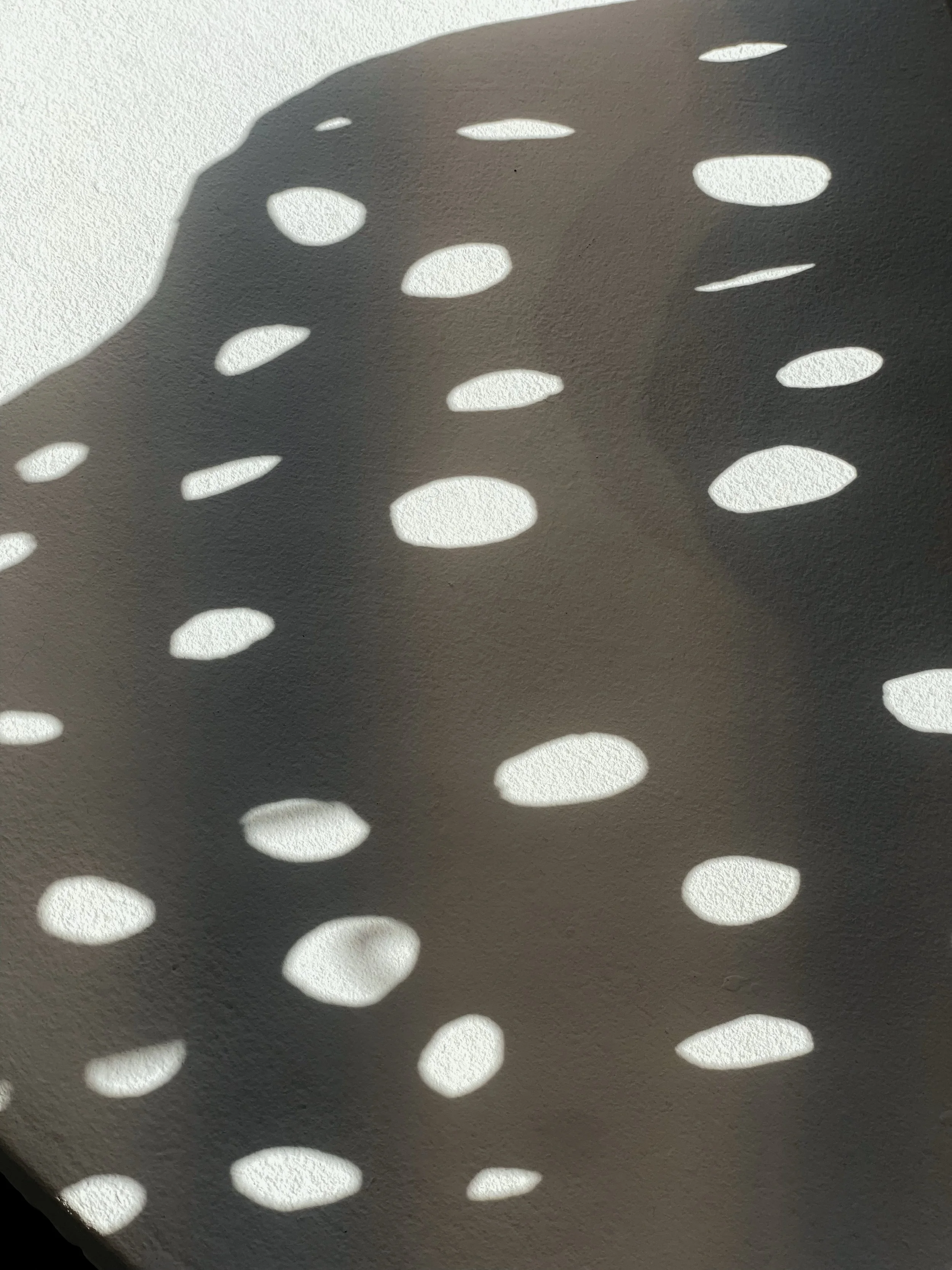 Shadow 🌚