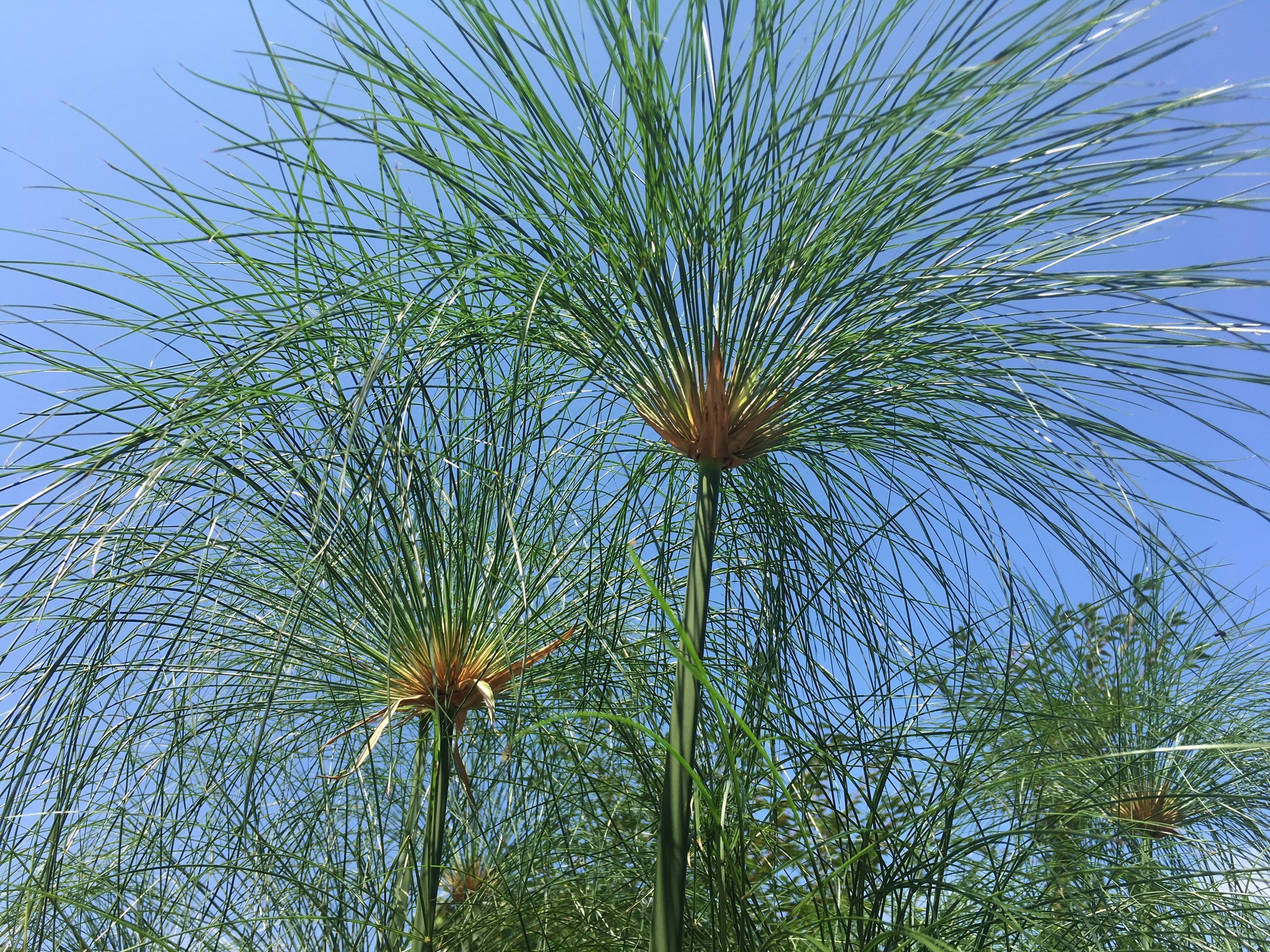 Dr. 101: “If I see something that I don't agree with, I say something”