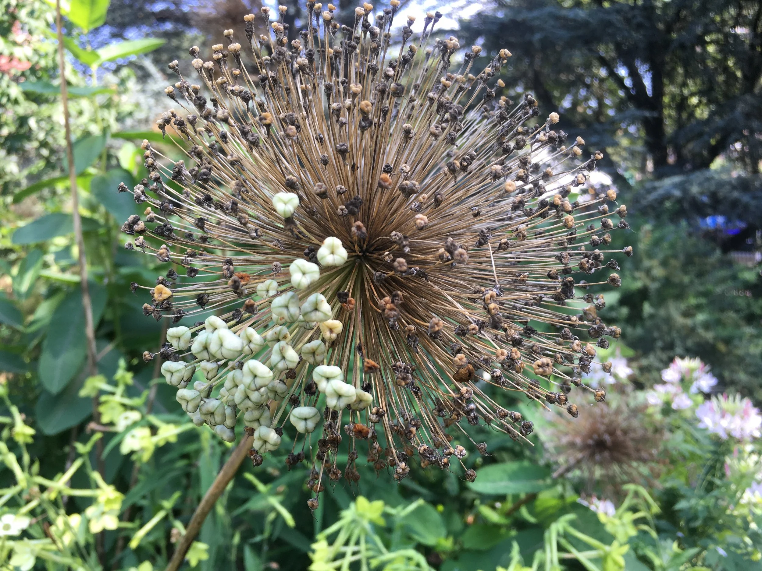 Dr. 100 (My Story): “I wasn’t the doctor I imagined I’d become. I wasn’t even close.”