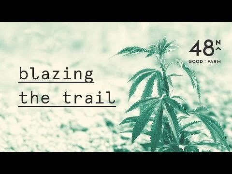 See the Good: Blazing the Trail