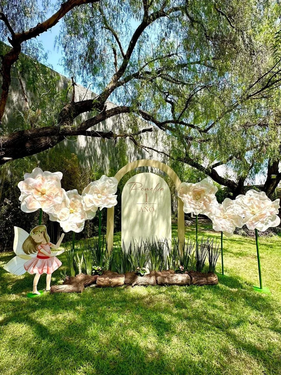 WhatsApp Image 2026-01-15 at 12.04.50 PM.jpeg