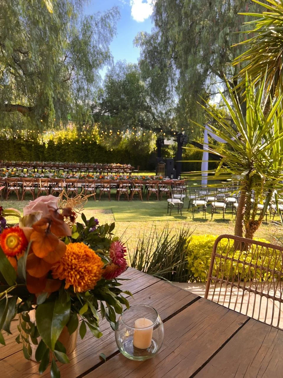 WhatsApp Image 2026-01-15 at 12.18.27 PM.jpeg