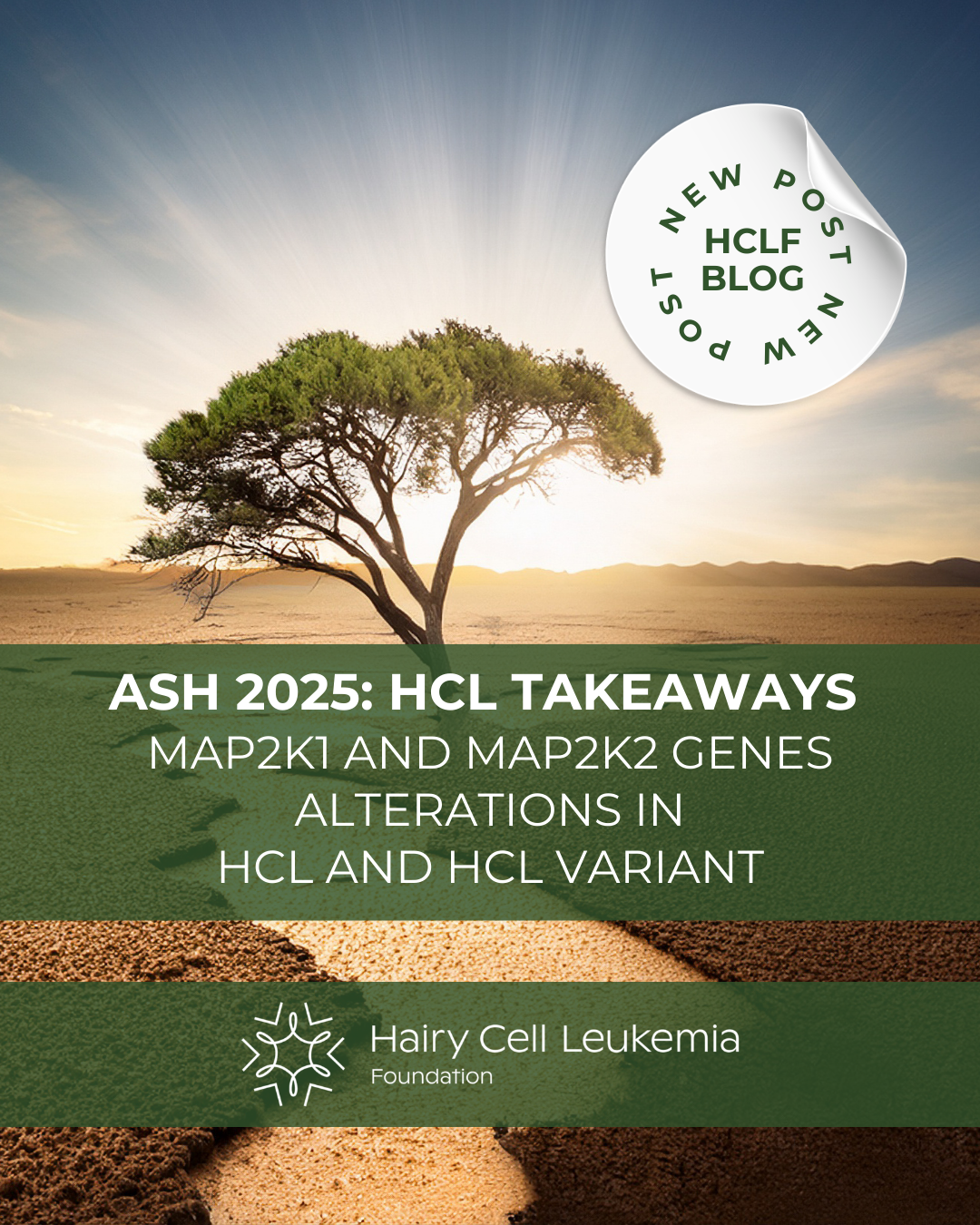 UNDERSTANDING MAP2K1 and MAP2K2 Gene Changes in Hairy Cell Leukemia