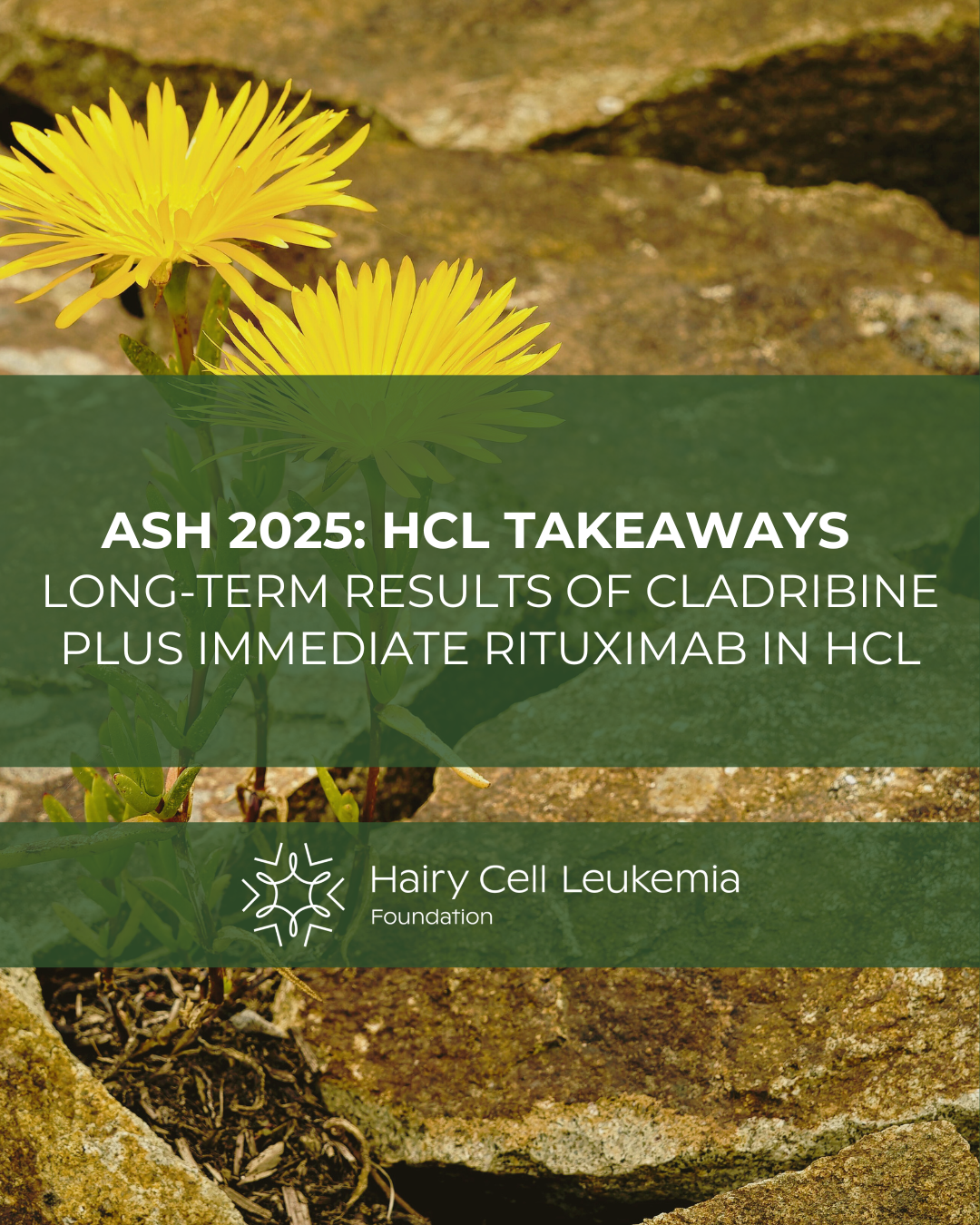 Long-Term Results of Cladribine Plus Immediate Rituximab