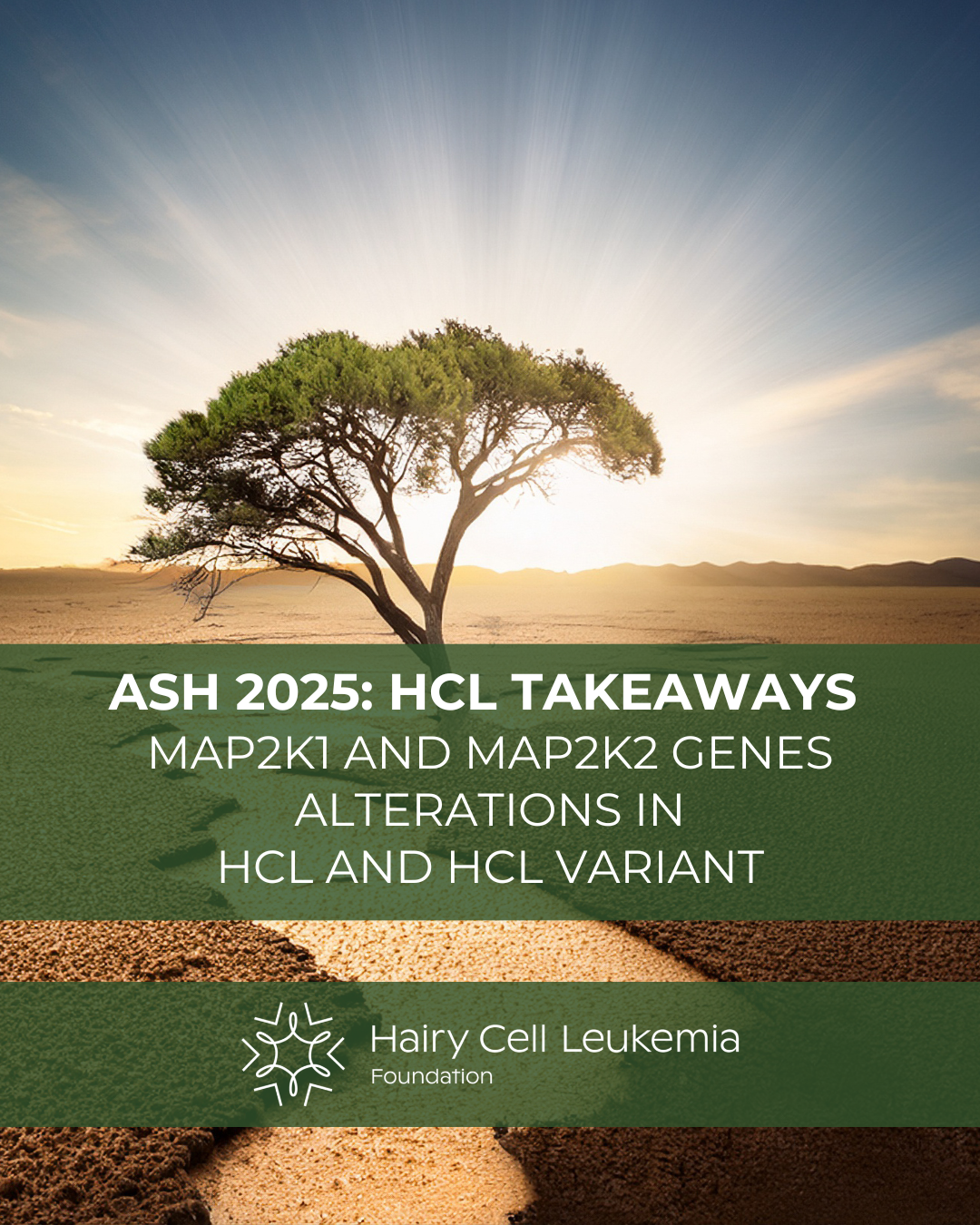 UNDERSTANDING MAP2K1 and MAP2K2 Gene Changes in Hairy Cell Leukemia