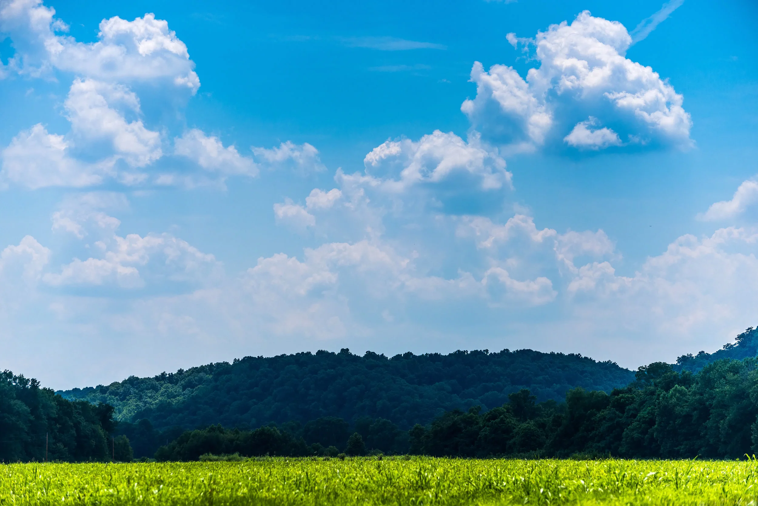 20140711-DSC_5473-Edit.jpg