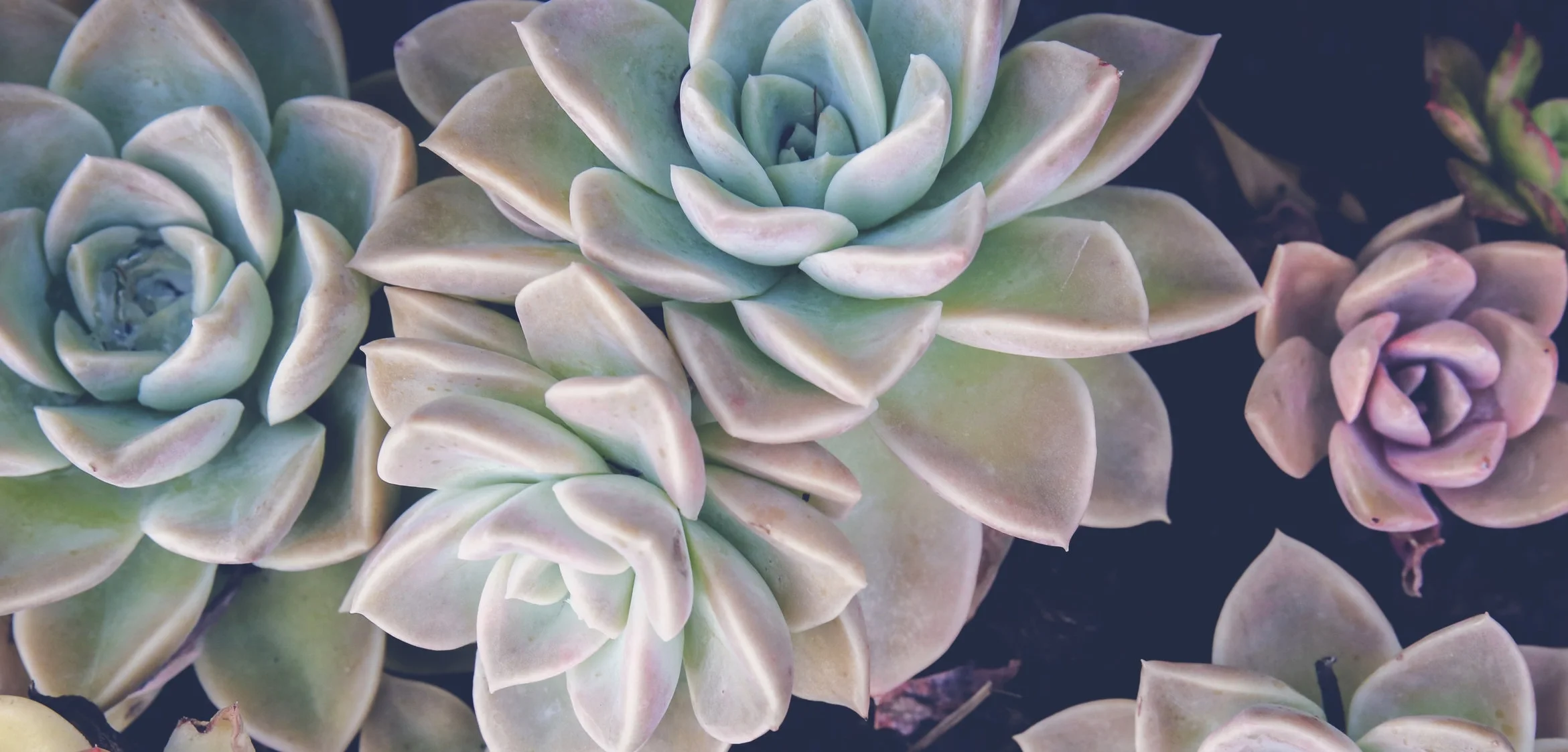 AdobeStock_129043577.jpeg