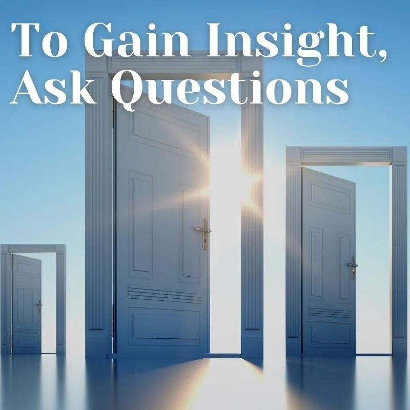 To Gain Insight, Ask Questions