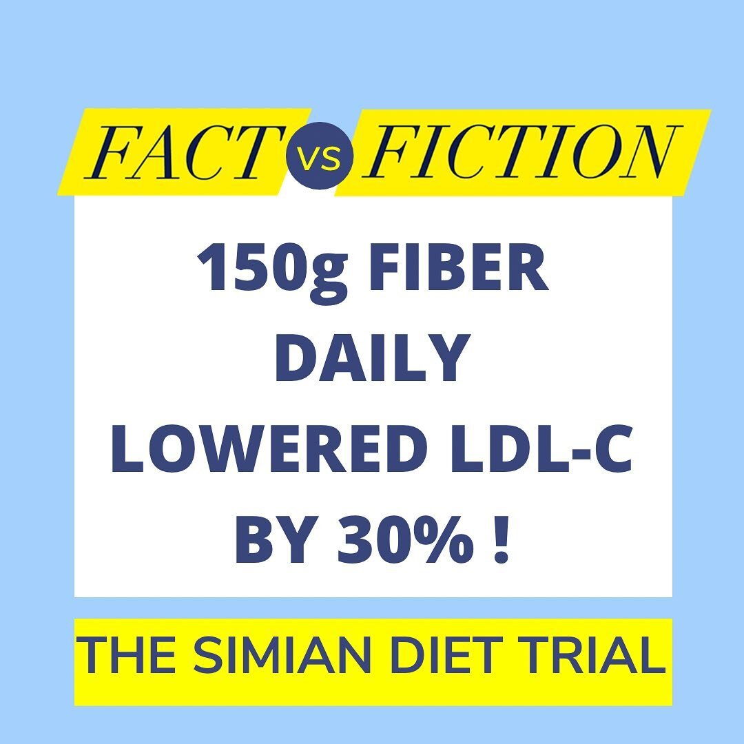 FIBER &amp; CHOLESTEROL: let&rsquo;s talk about the Simian Diet trial!

📚Wellness Fact Vs. Fiction Episode 26🎙 Small Changes, Big Differences - Eating to Lower Cholesterol

@daniellebelardoMD discussed this important paper by David Jenkins in her c