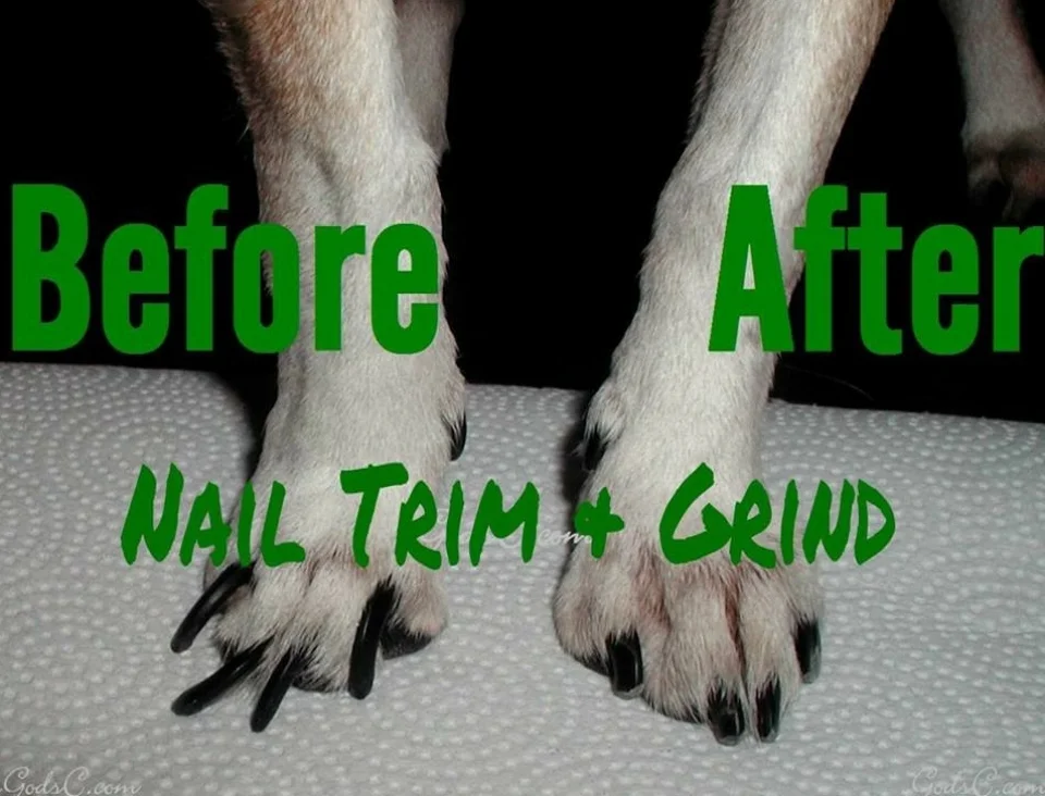 before after.jpg