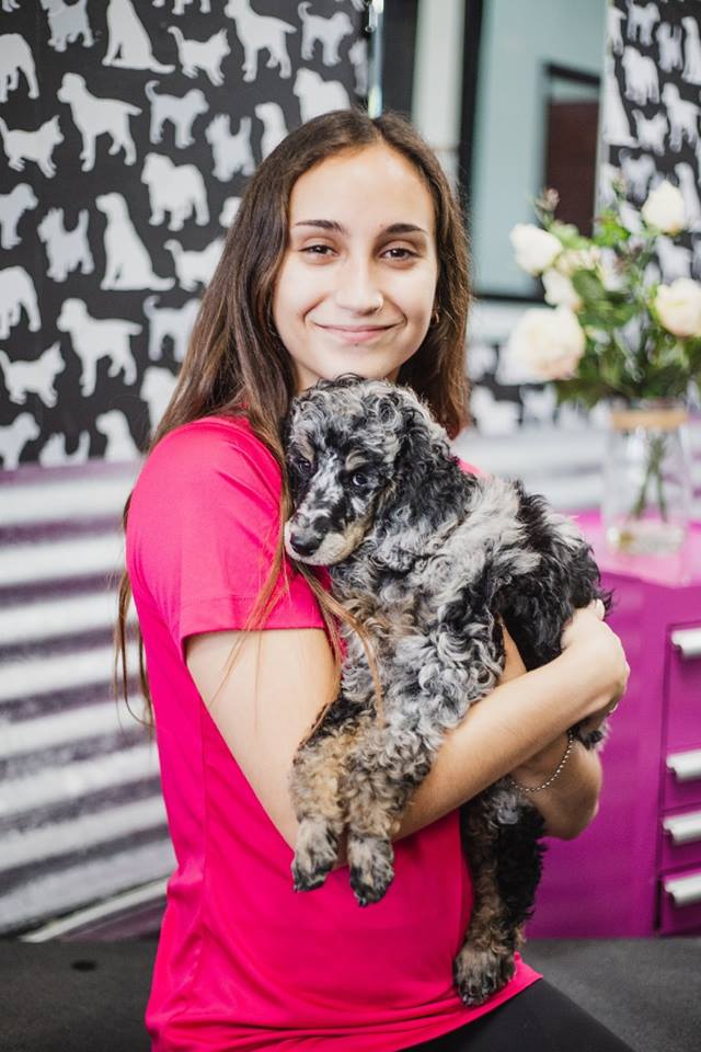 Meet Lacie! Hi, I'm newer to the industry but not new to being around animals! I have a mini poodle named Walter at home, as well as, a bird & a gecko. I've been a pet lover all my life. My own sister, Hillary being the owner has its perks. She has allowed me to shadow her & bath dogs during school breaks for a few years now. I just recently graduated from Great Oak & am immersing myself in the trade. I am excited for my upcoming trade show classes while I work apprenticing under Hillary & Heather.