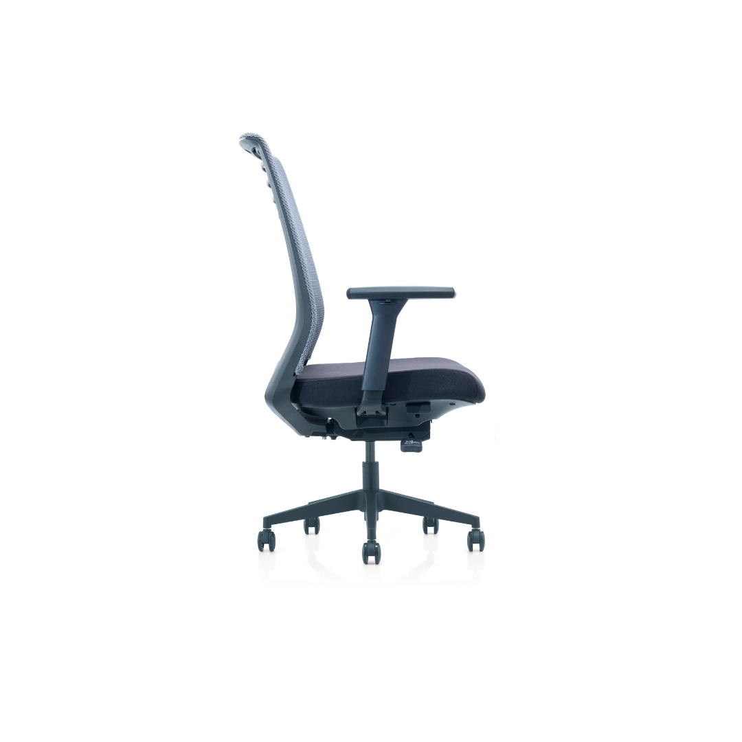Back support chair for long work hours in Raleigh