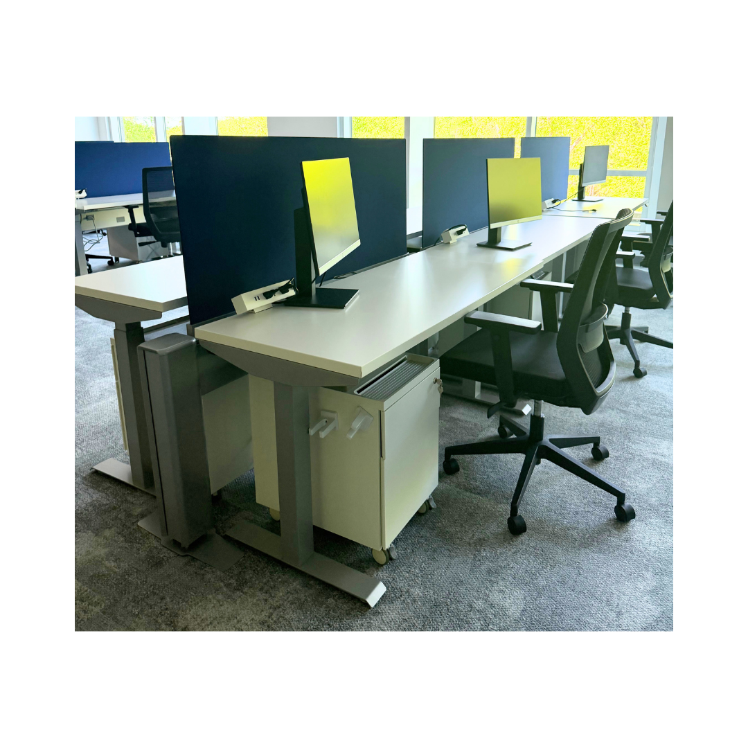 Friant My-Hite Workstations in Raleigh, NC