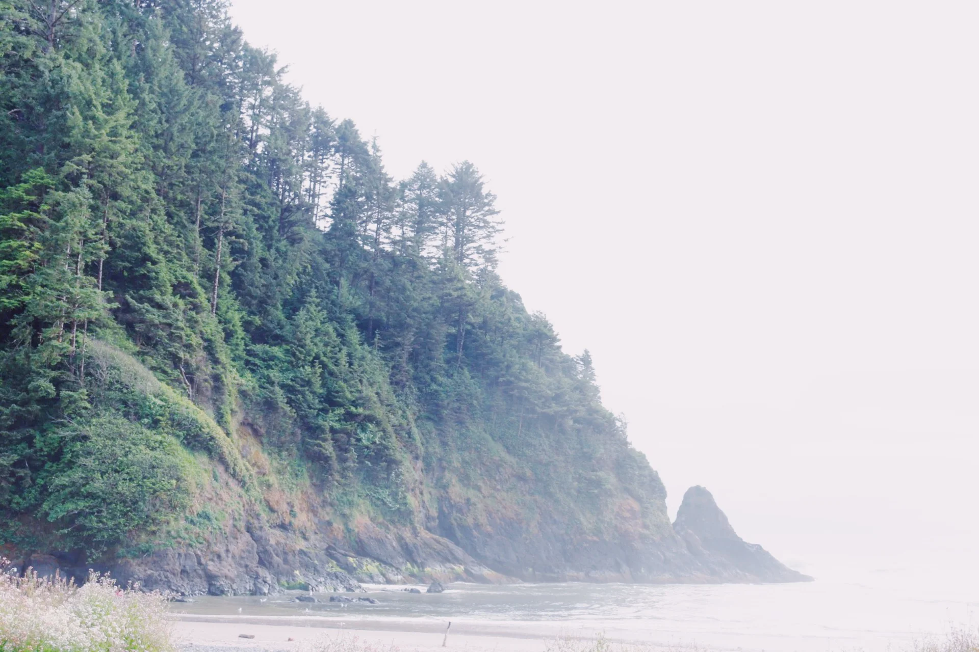 I just loved the foggy beautiful coastlines.