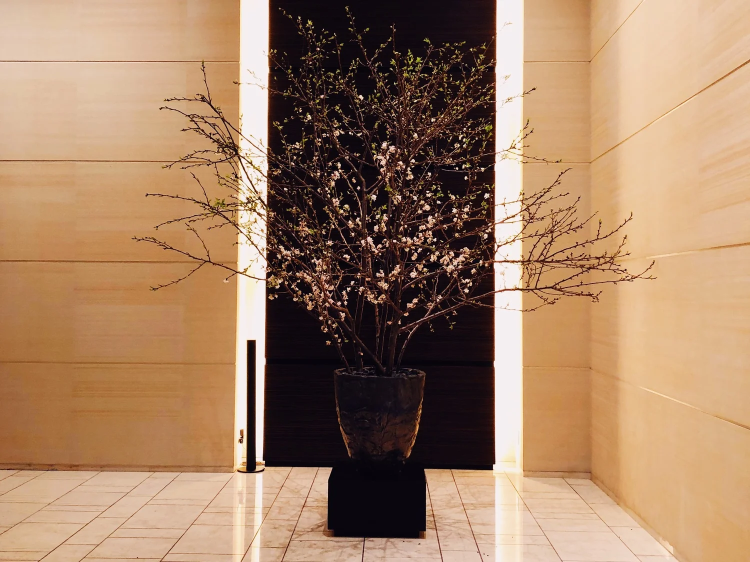 Why Do Japanese People Wear Surgical Masks? — travelhappier