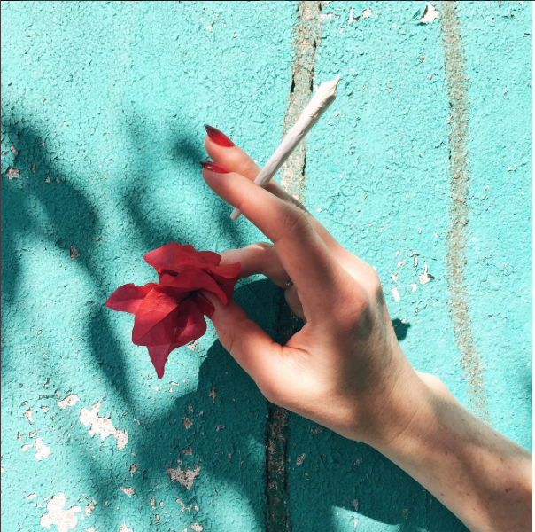 This shot adds a tropical flair and soothing color to a pre-roll shot