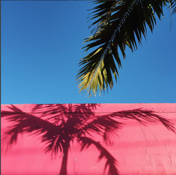 Photos that don’t feature our brand are also OK! Look for bright colors, tropical motifs, and interesting perspectives