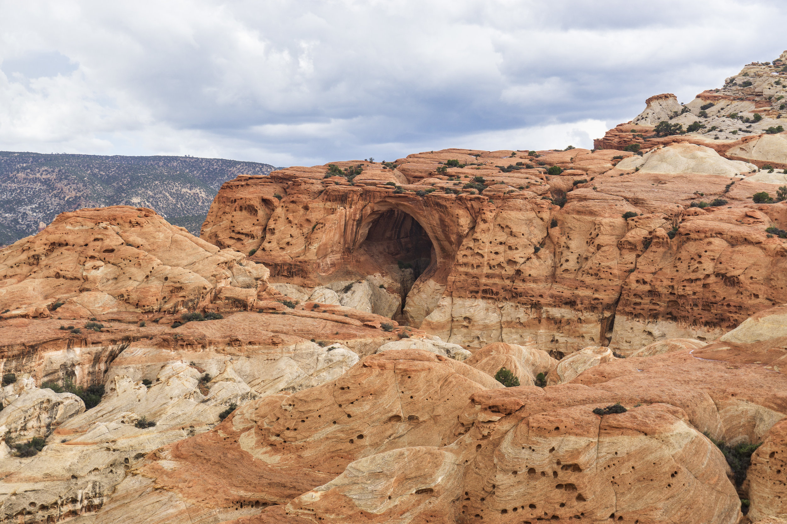 Cassidy Arch, Capitol Reef