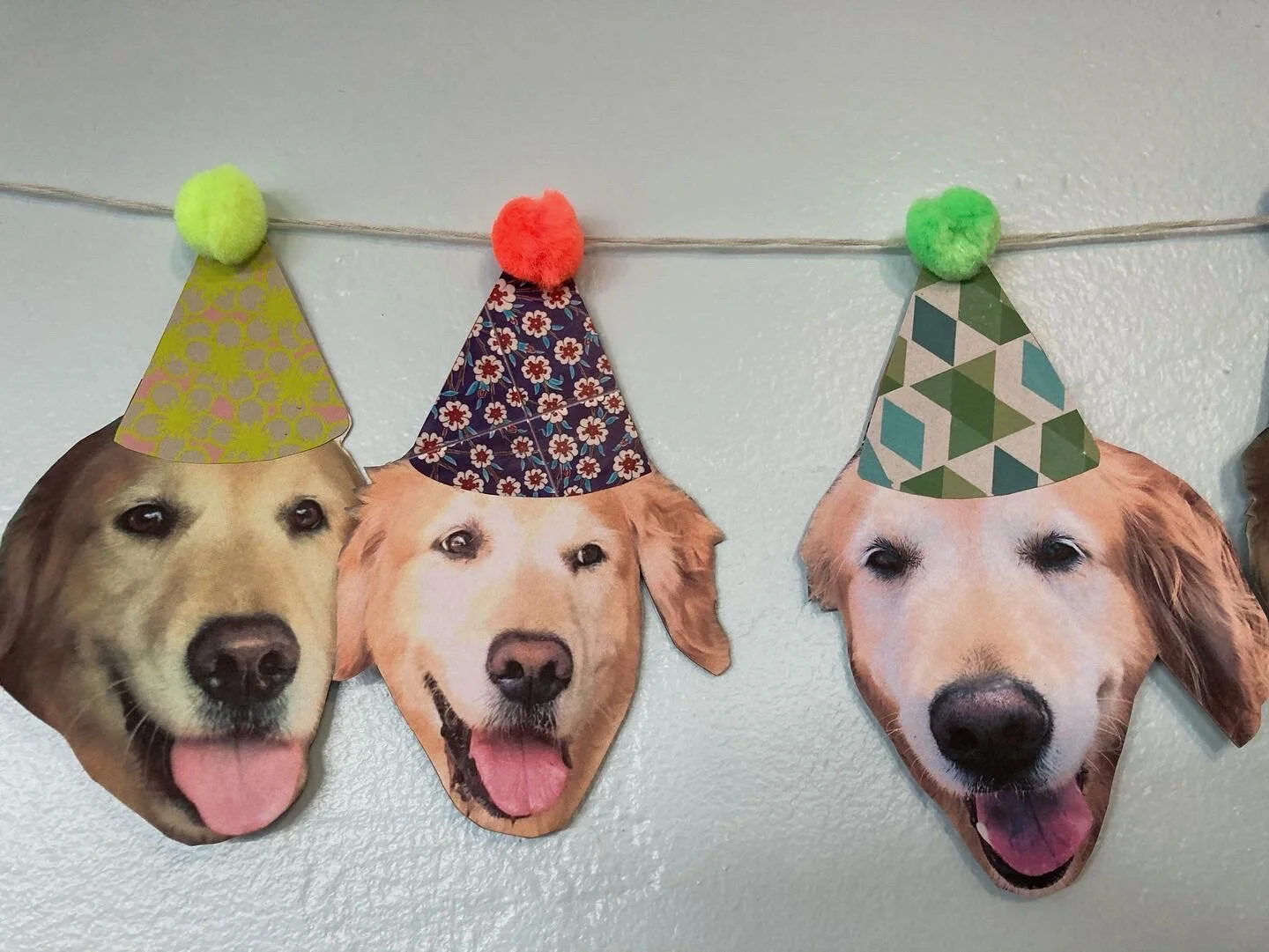 Birthday #44