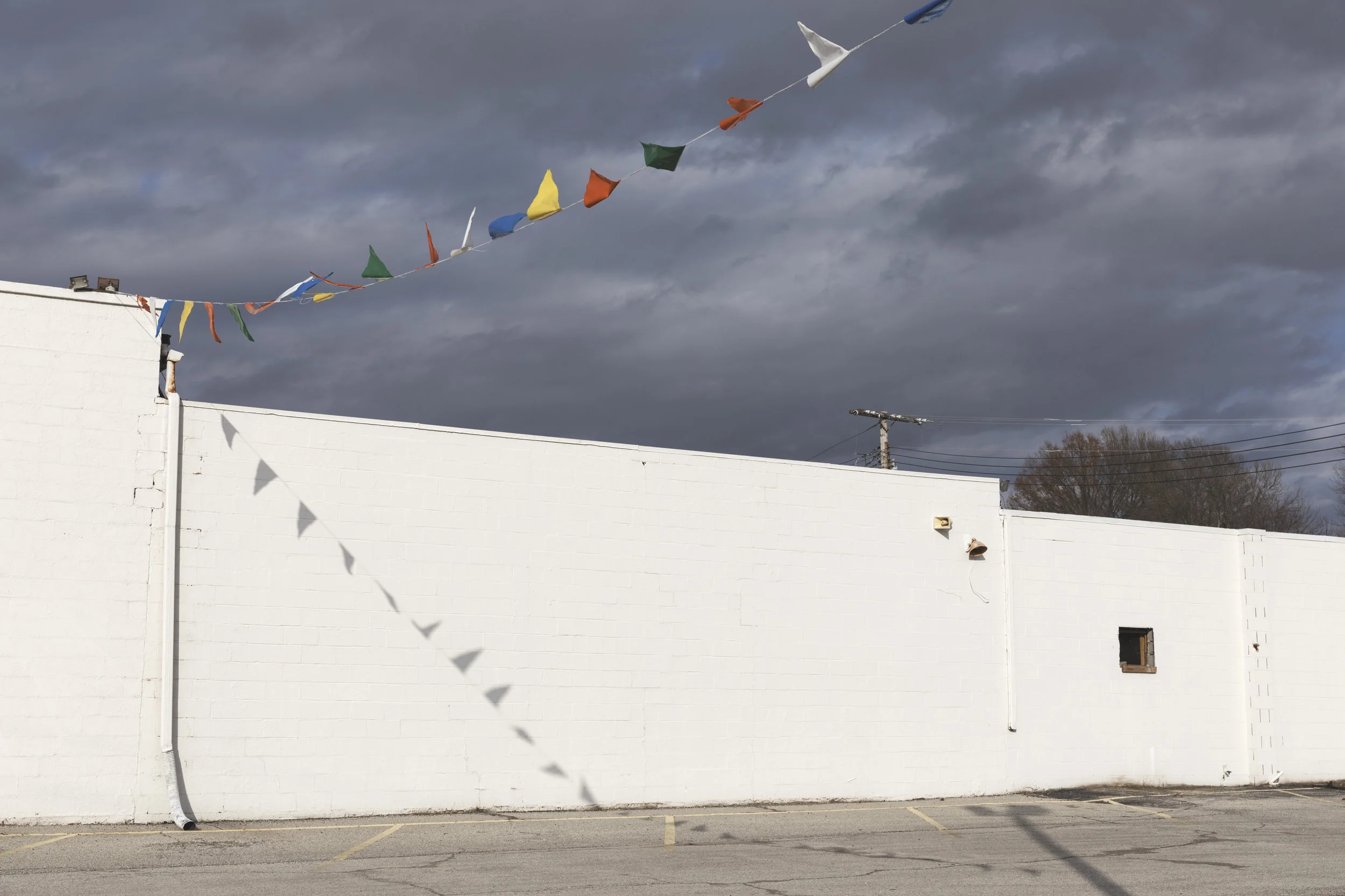Flags (2016)