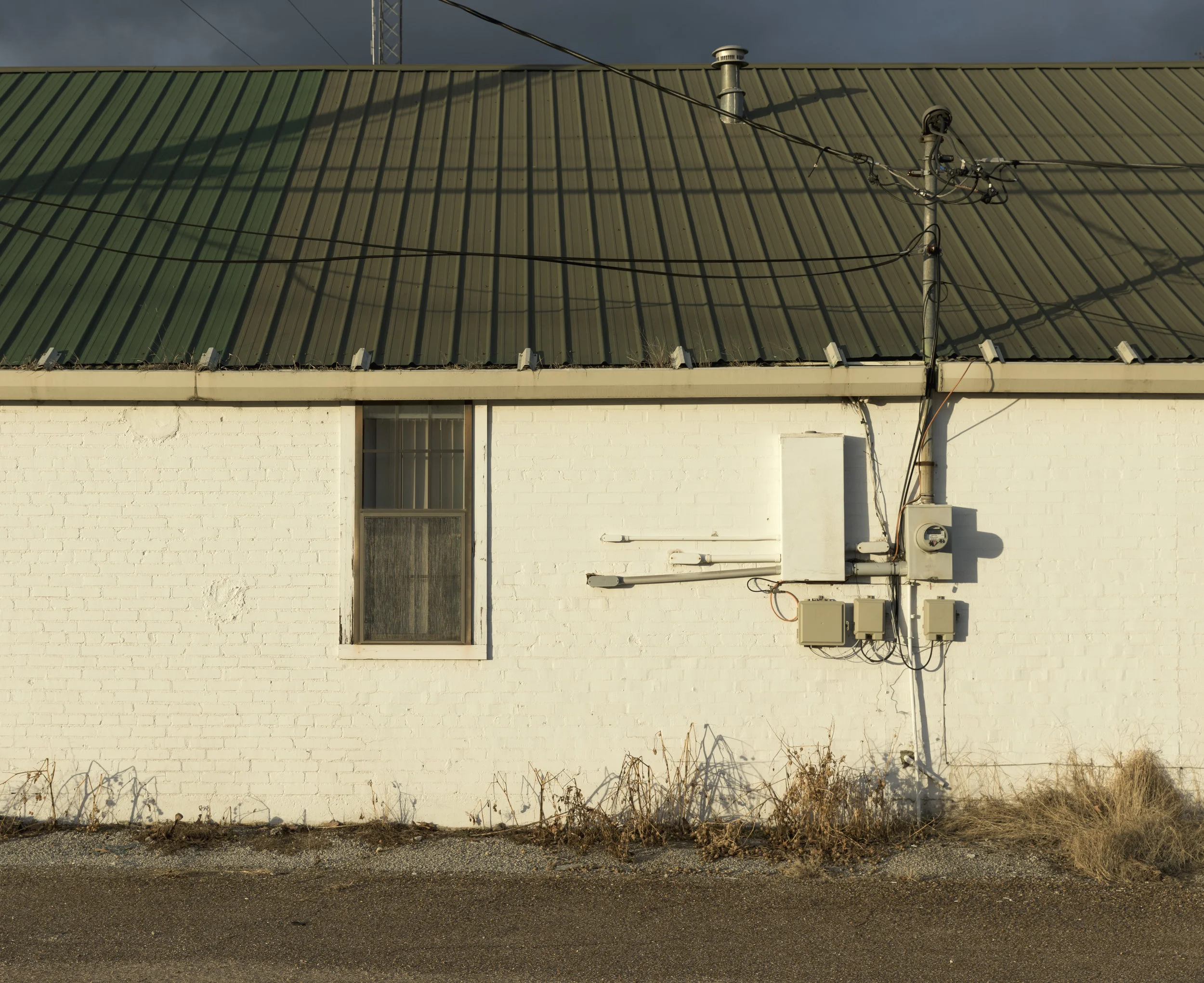 Eggleston 7 - Green Roof.jpg