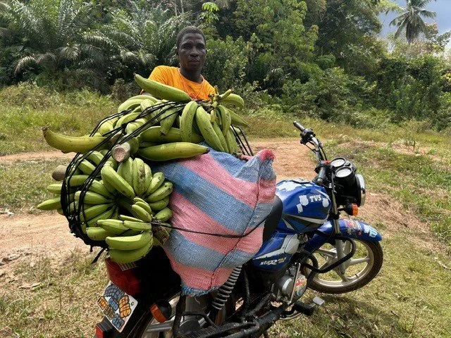 Bananas on a bike.jpg