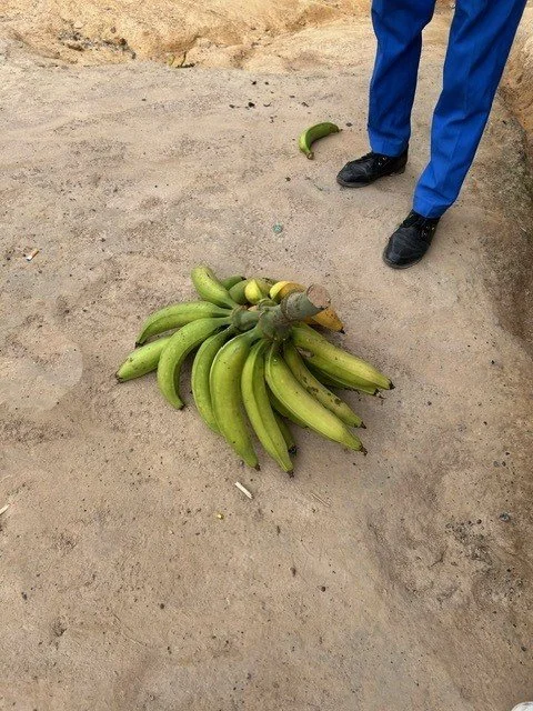 bananas.jpg