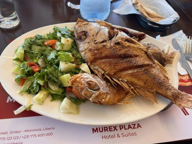 Fish and salad.jpg