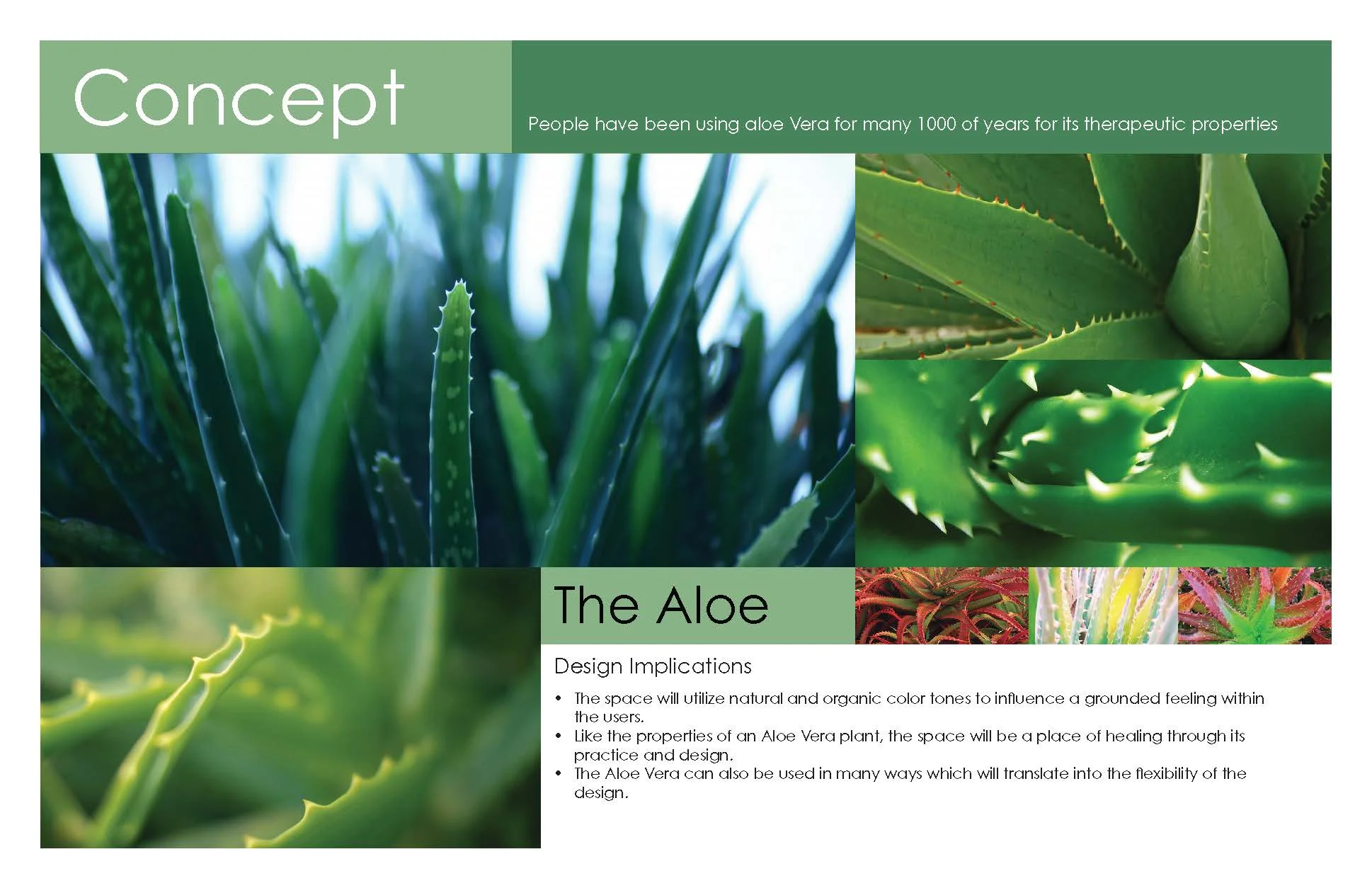 PreDesign_Booklet_Johnston Roberts_Final_Page_08.jpg