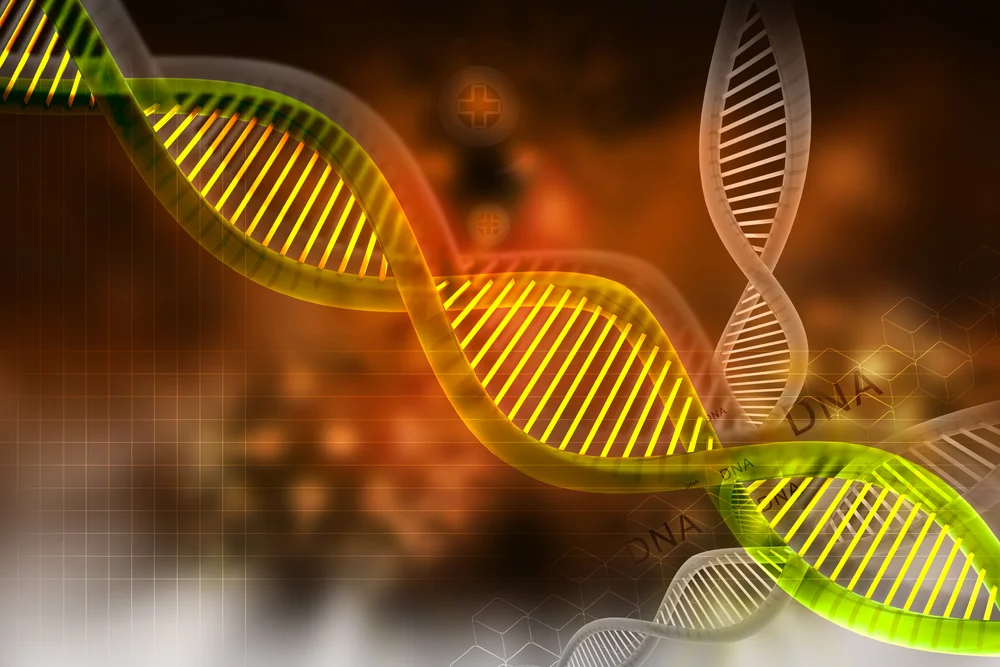 How Genes Affect Your Risk of Cancer