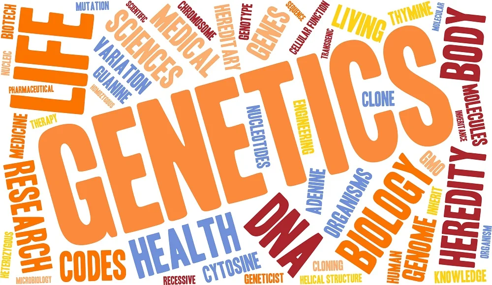 Learning About Your Genetic Cancer Risk