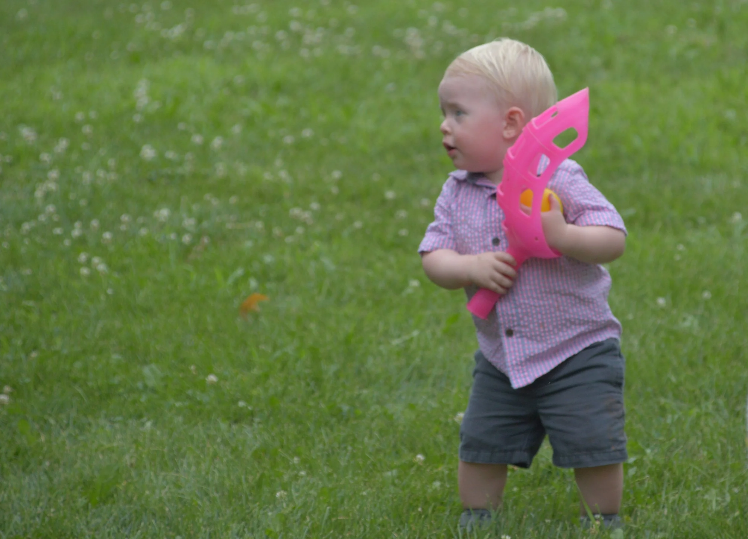 2018 Celebration of Life Picnic  