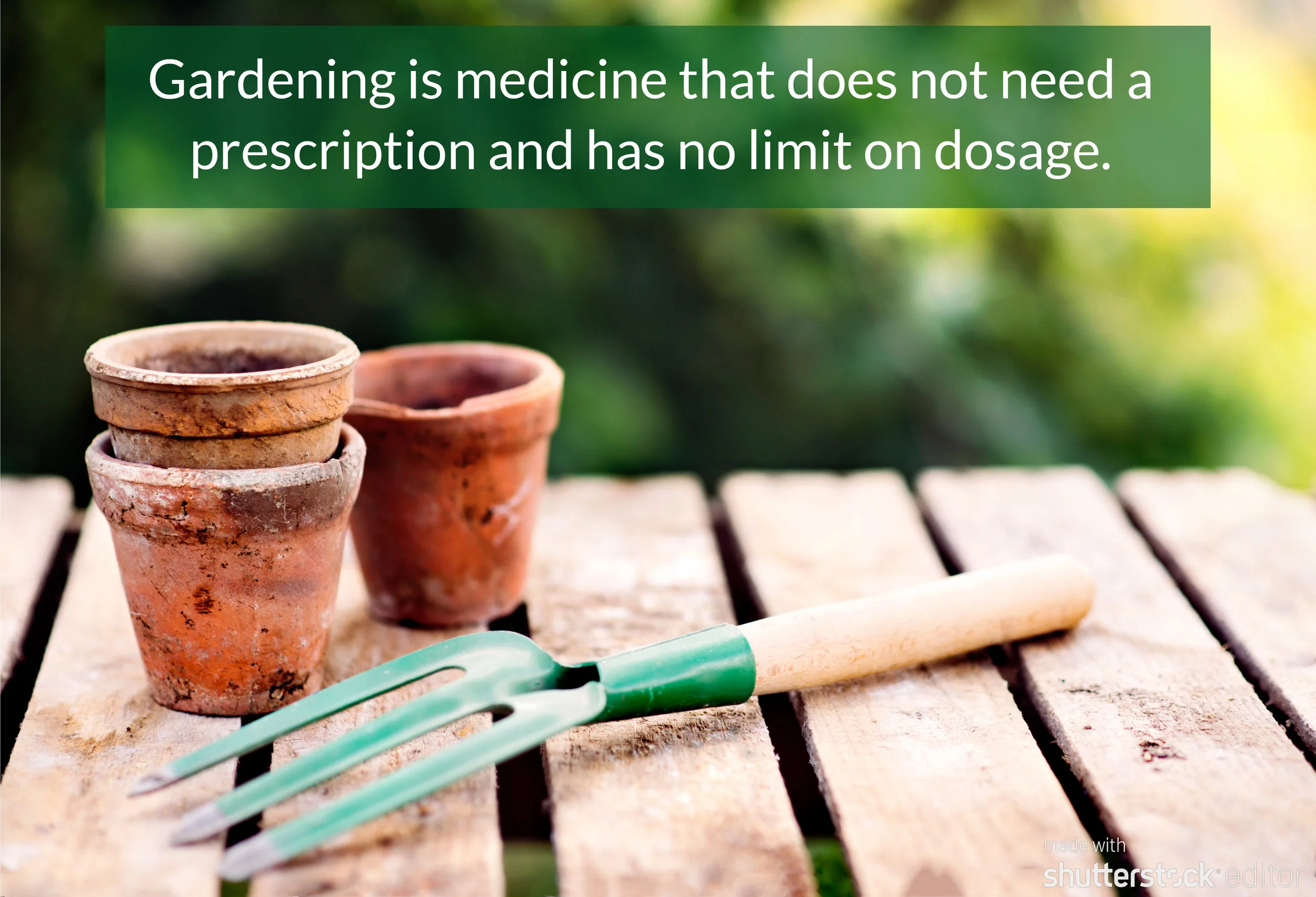 Good Medicine Takes Many Forms