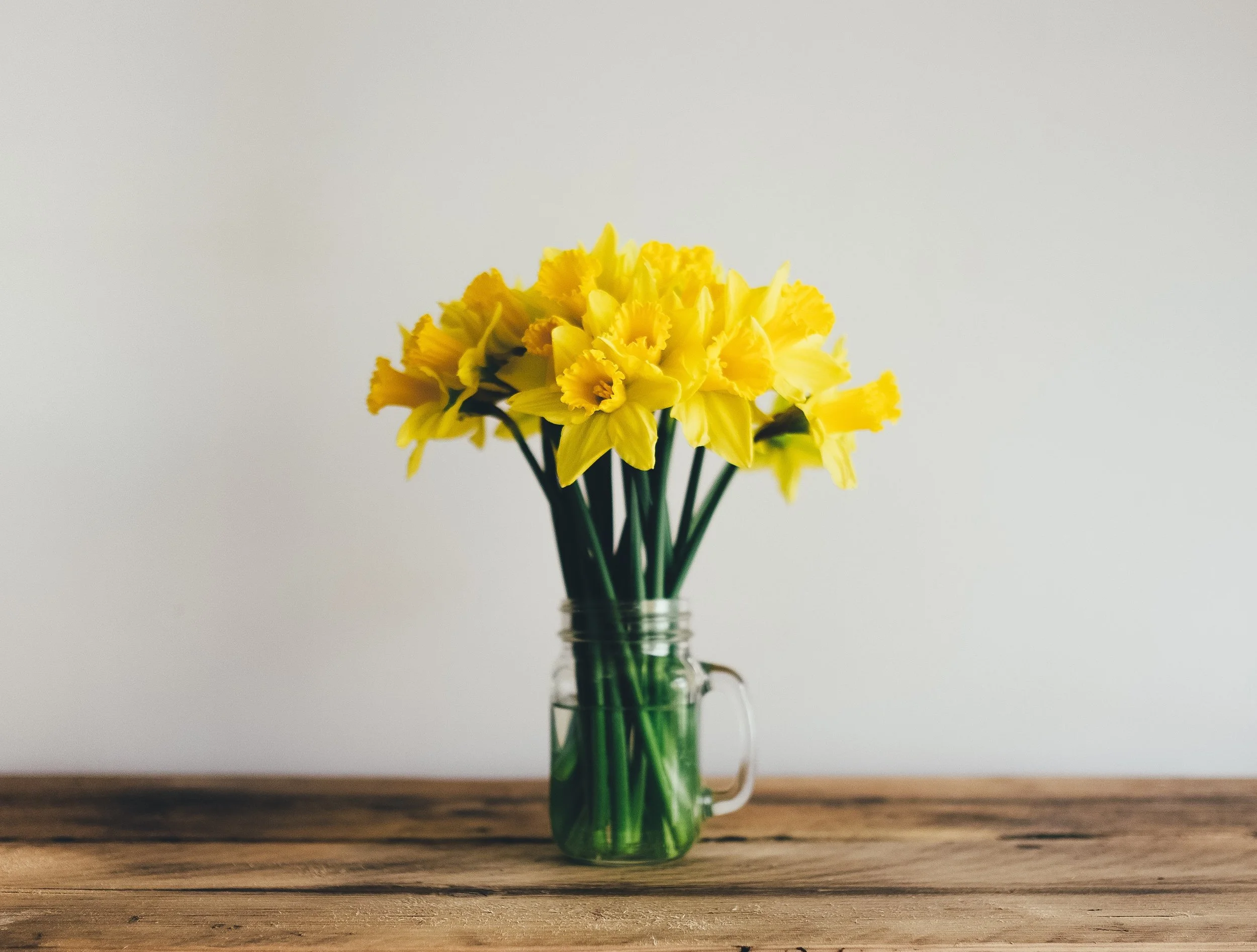 Spring Flowers, Community Support and Scholarships