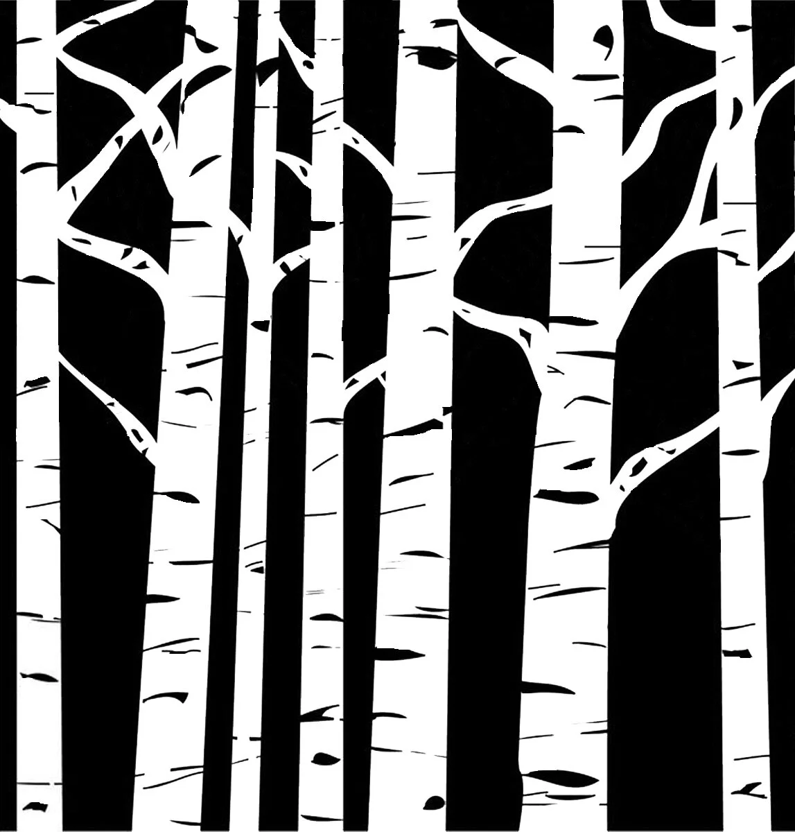 birchtrees.bw.jpg