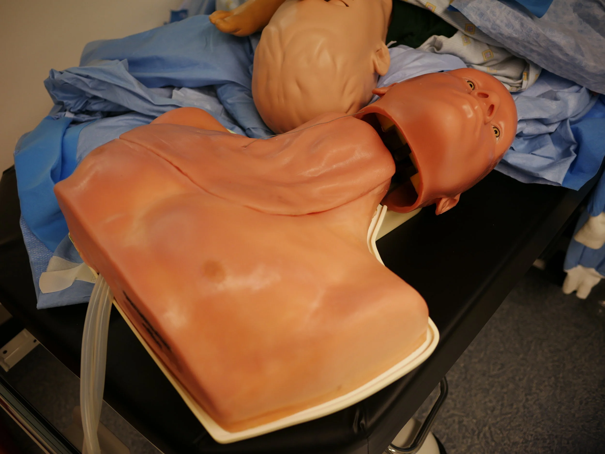 CENTRAL LINE MAN.JPG