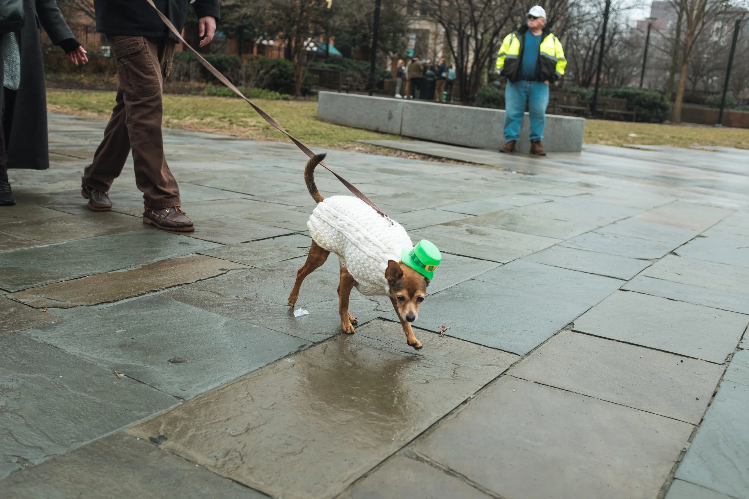 DSCF7818.jpg