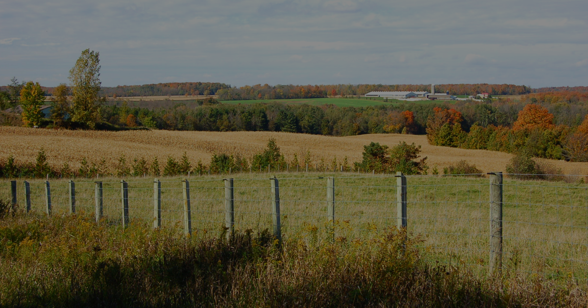 farmlandscape.png