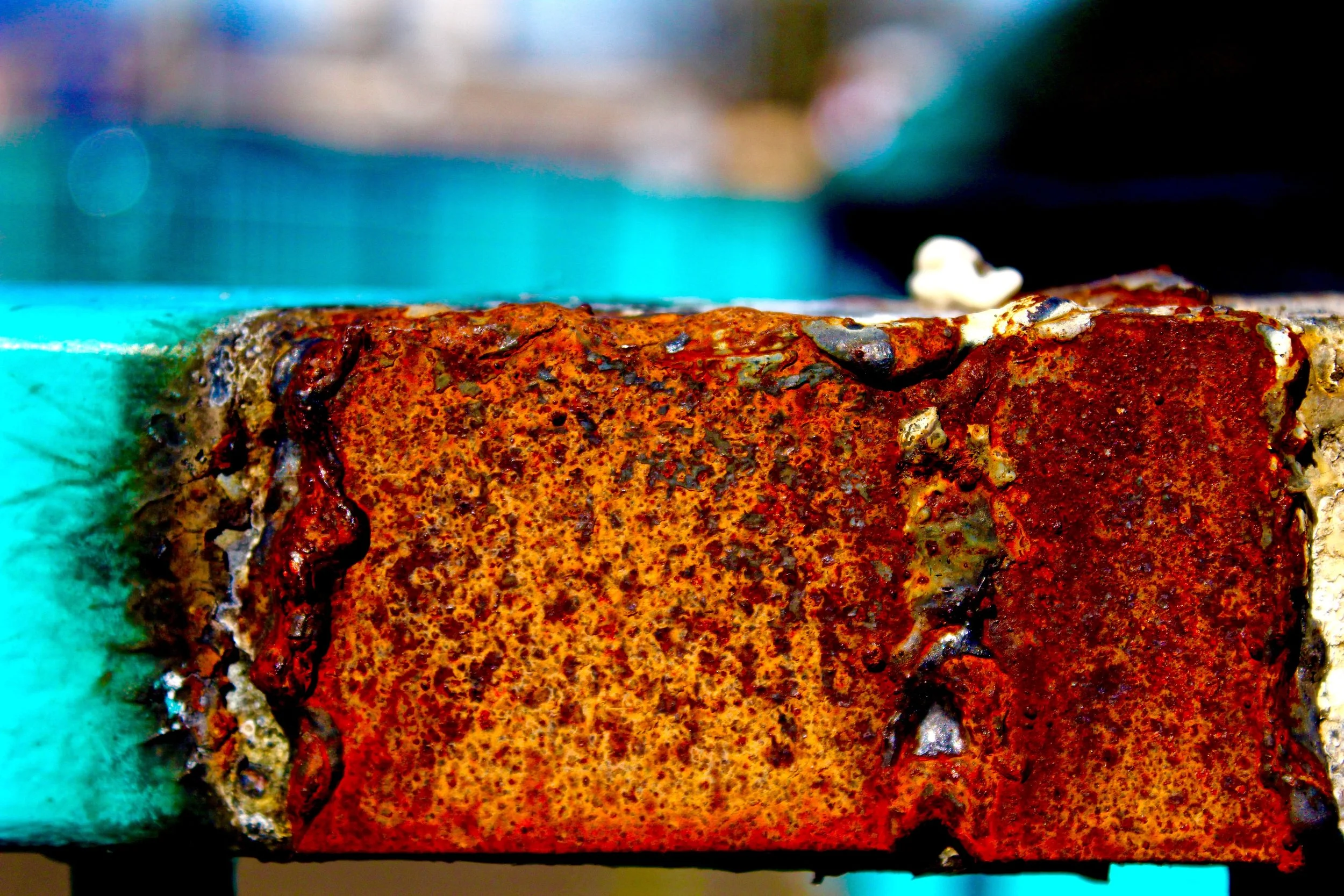 rust 6 (Amsterdam netherlands, horizontal).jpg